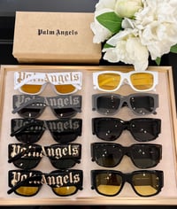 Palm Angels Shades