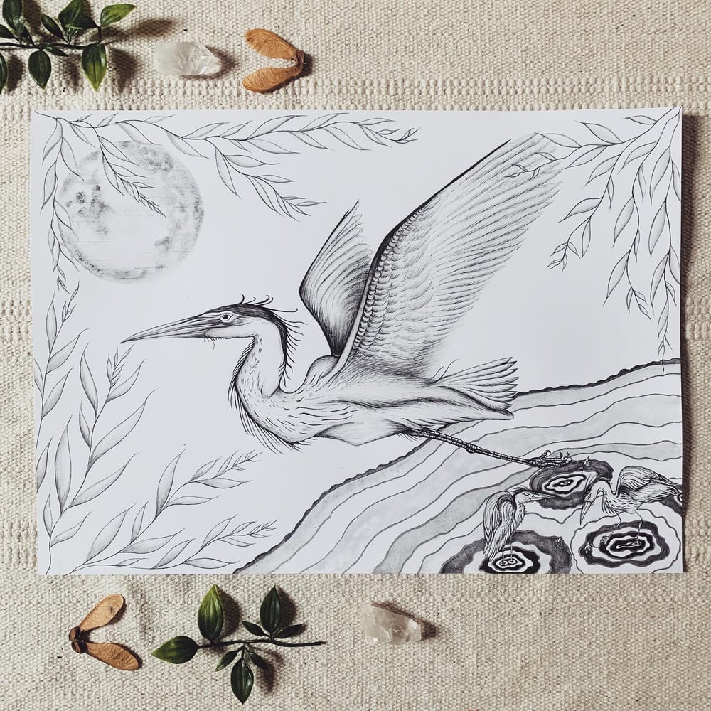 Image of Moonlit Heron 