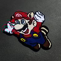 Image 1 of Raccoon M