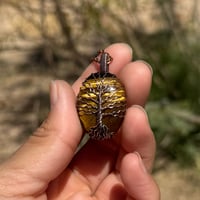 Image 3 of Tigers Eye Tree 🌳🤎