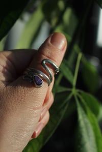 Image 5 of Snakey Vibes 