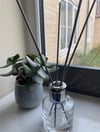 100ml Clear Reed Diffuser