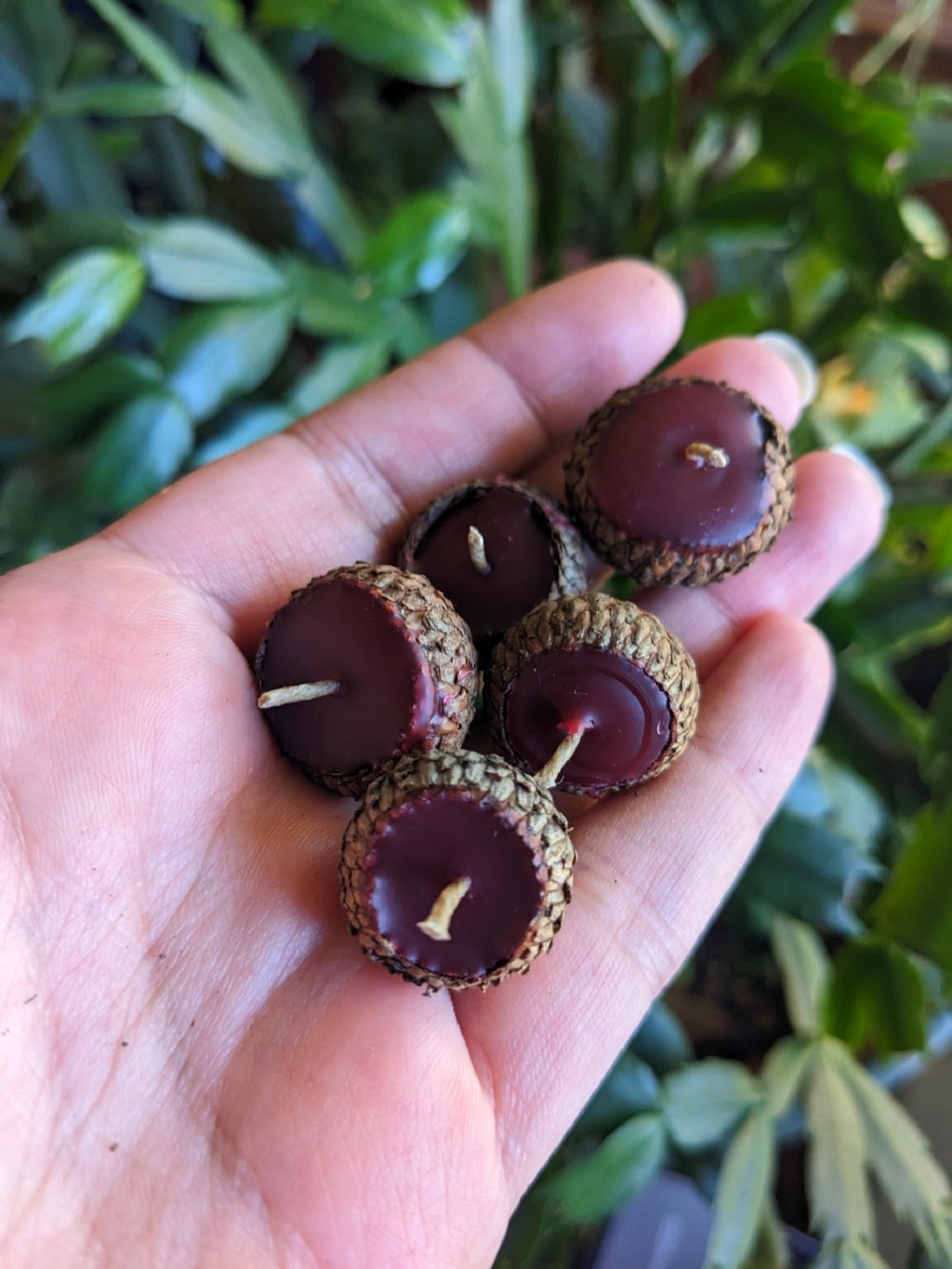 Image of Acorn Candle Set (Winter)