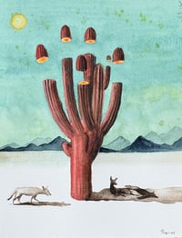 Image 9 of “Sombra”