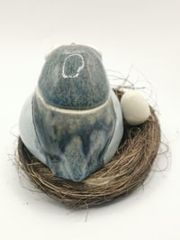 Image 4 of Pigeon 2