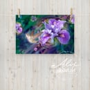 Image 3 of Wild Orchid Hummingbird Poster