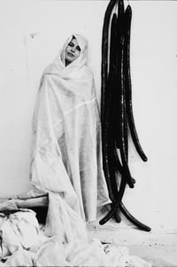 Image 4 of Portal for Eva Hesse