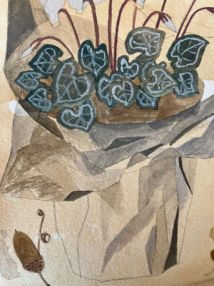 Image of Cyclamen and oak 