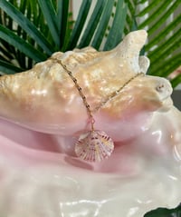 Image 1 of Scallop Shell Necklace N174