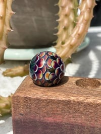 Image 4 of Raspberry Sugar