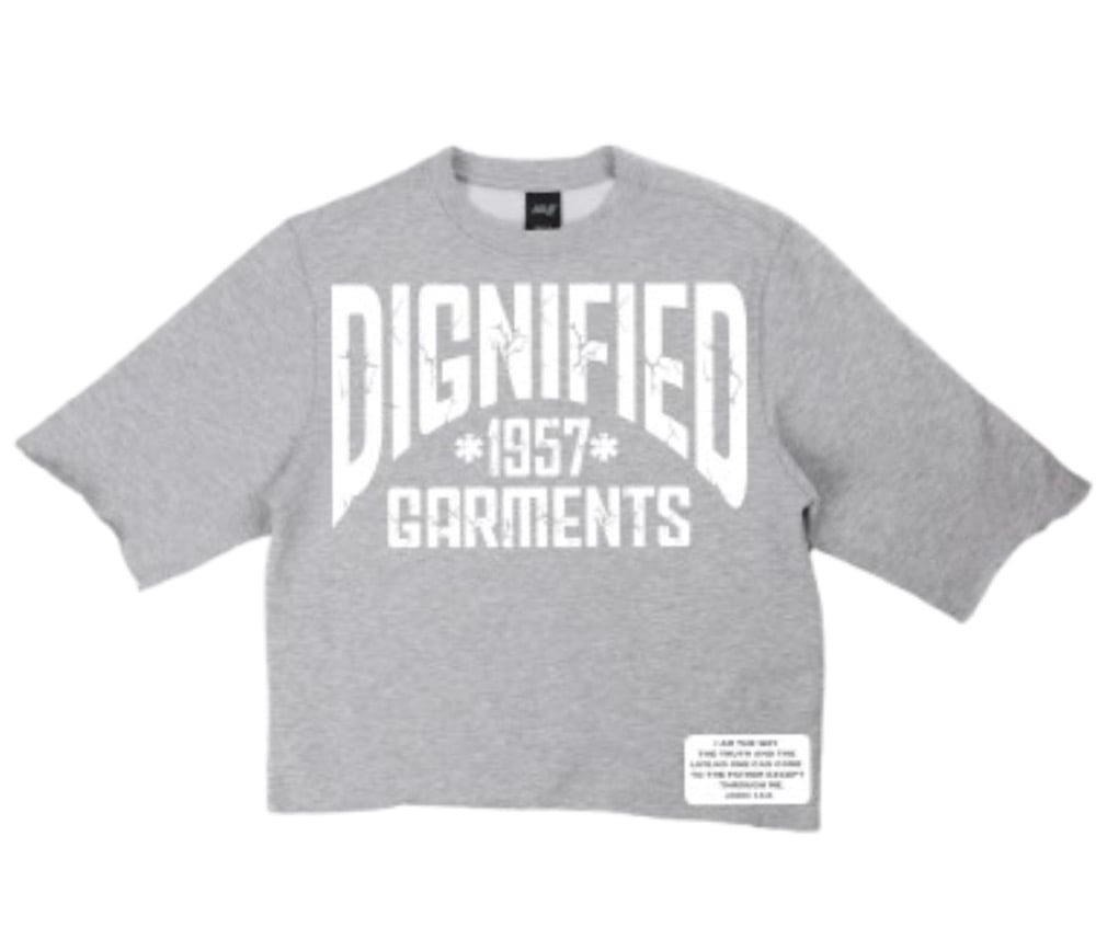 Image of Oversized Boxy Tee (Wolf Gray)