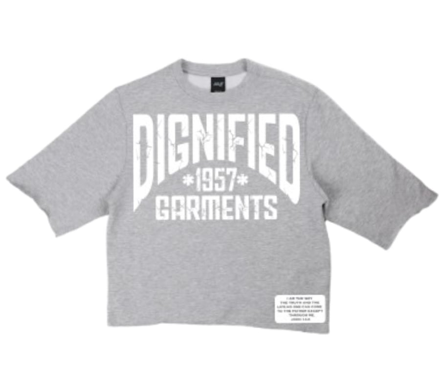 Image of Oversized Boxy Tee (Wolf Gray)