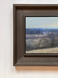 Image 3 of Fool’s Spring 4