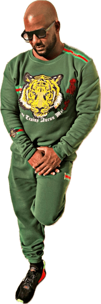 Image 1 of GG TIGER  [Custom]