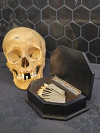 Image 3 of Beautiful Vintage Ebony wooden jewellery trinket Box & Preserved Web