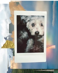 Image 2 of Custom Collage Work 