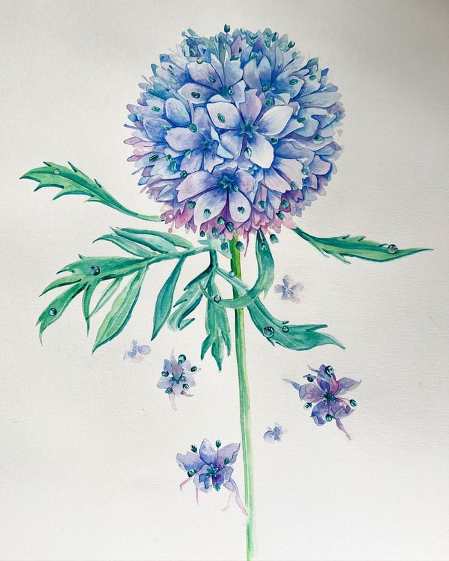 Blue Flowers - Plants Painted With Watercolors and Ink