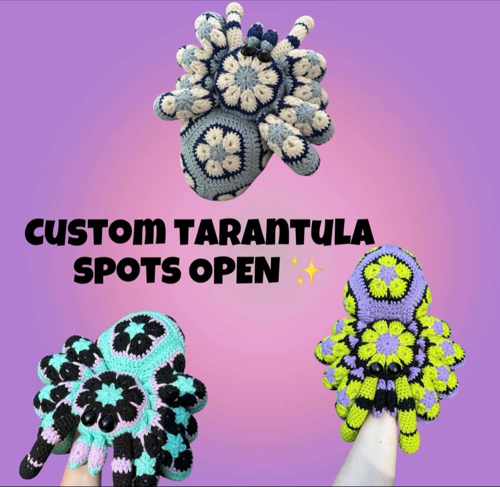 Image of tarantula for Anita 🤍