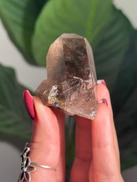 Image 4 of NATURAL RUTILE SMOKEY QUARTZ POINT -BRAZIL- J