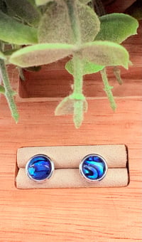 Blue Abalone Studa