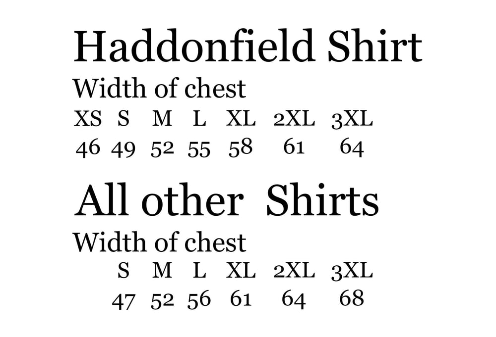 Haddonfield High Senior Ringer Tee