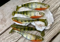 Image 1 of 5" G5 Hand Poured Swimbaits - "TREX PERCH"