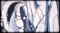 Image 4 of BRUT HEX 10"