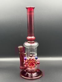 Image 6 of Ruby red mini stem line 