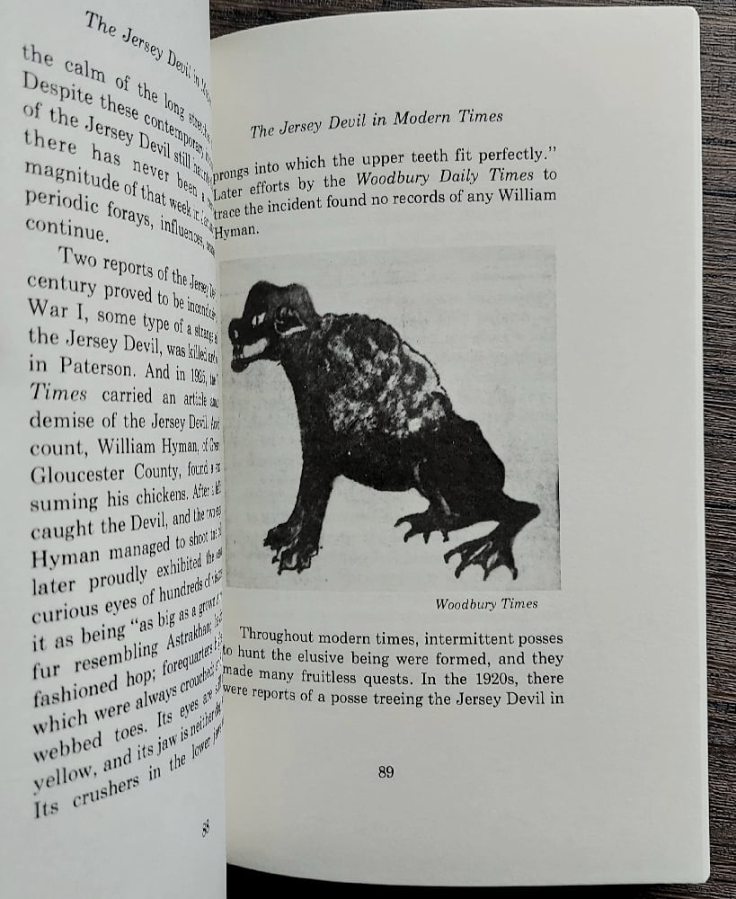 The Jersey Devil, by James F. McCloy & Ray Miller Jr.