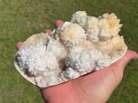 Image 6 of Calcite Crystal Reef Formation Specimen #1242
