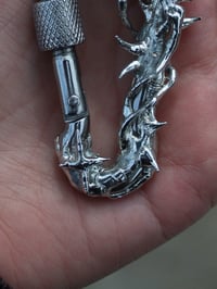 Image 3 of Hylesia - Carabiner