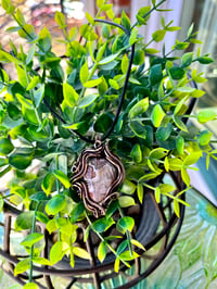 Image 2 of Crazy Lace Agate Pendant