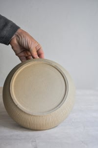 Image 2 of Plate #3
