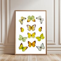 Image 1 of Yellow Butterflies LIMITED EDITION PRINT
