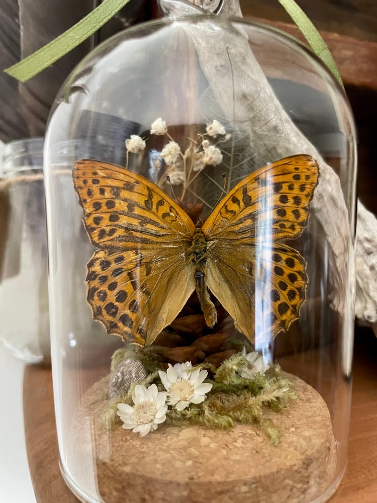 Image of Butterfly ornament