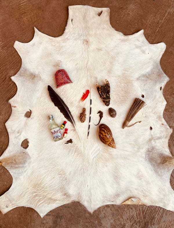 Image of Big Mama Bone, Shell, & Curio Set 