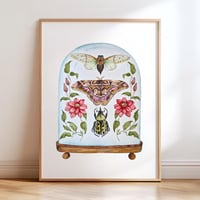Image 5 of Insect Art Print March Dome, Under Glass Collection
