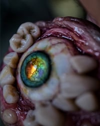 Image 5 of Teratoma Swappable Phone Grip/Socket for smartphones