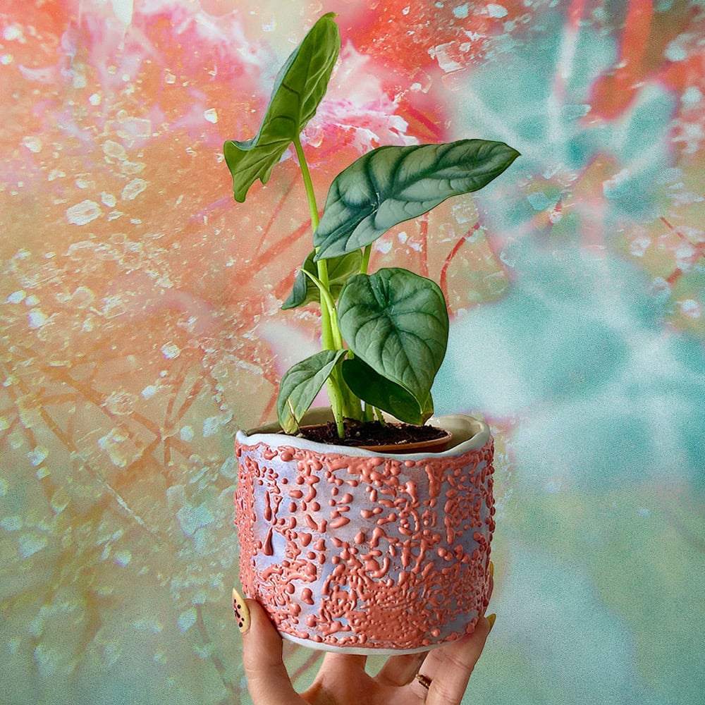 Image of Solaris Plant Pot #2