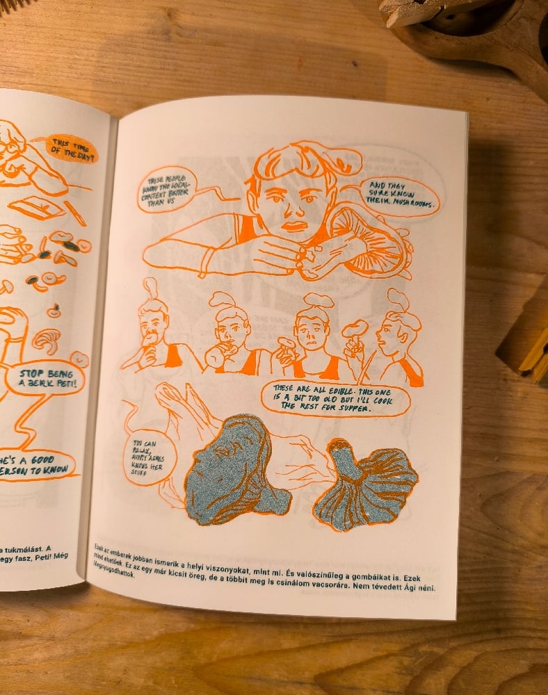 Image of More Witches by Dorottya Poór