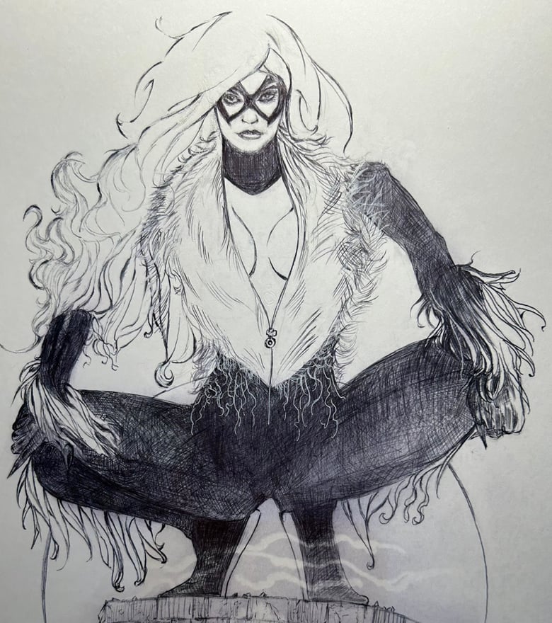 Image of The Black Cat-Ballpoint Illustration 