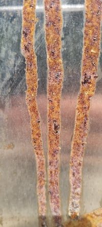 Image 4 of RUST LUST 1000ml