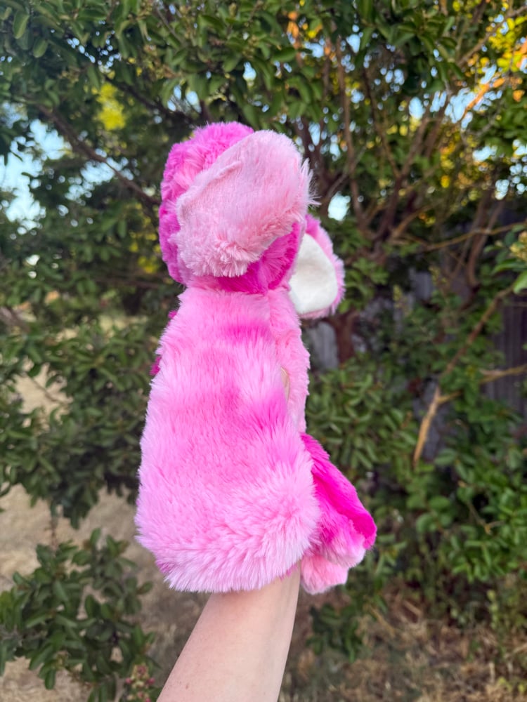 Image of Pinky