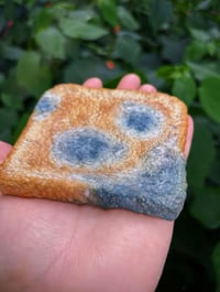 Image 2 of Breadrot