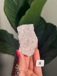Image 8 of DOUBLE SIDED WATER WELL APOPHYLITE WITH PERFECT DOUBLE TERMINATIONS -INDIA- LOT 2