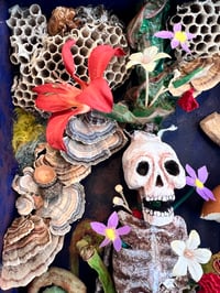 Image 6 of Love outside of the box- Melonie Steffes