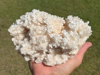 Image 6 of Aragonite On White Calcite Specimen #1243