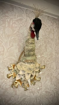 Image 4 of Crested Crane 