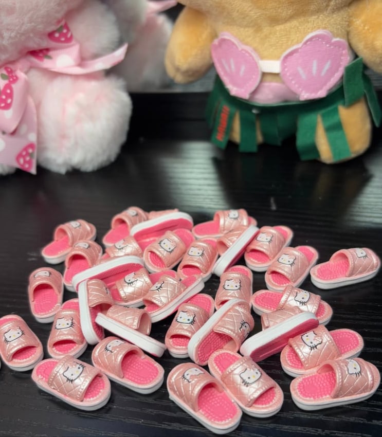Image of HK slippers(pairs)