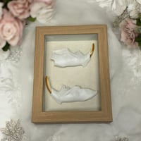 Beaver Jaw Shadow Box 